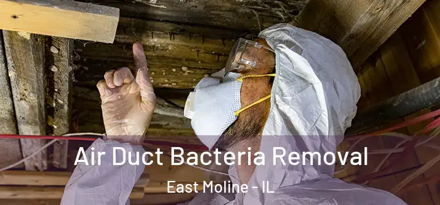  Air Duct Bacteria Removal East Moline - IL