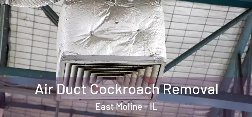  Air Duct Cockroach Removal East Moline - IL
