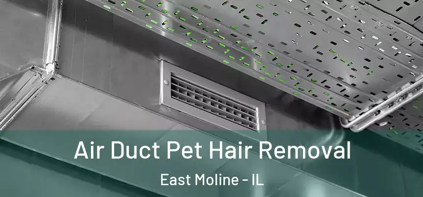  Air Duct Pet Hair Removal East Moline - IL