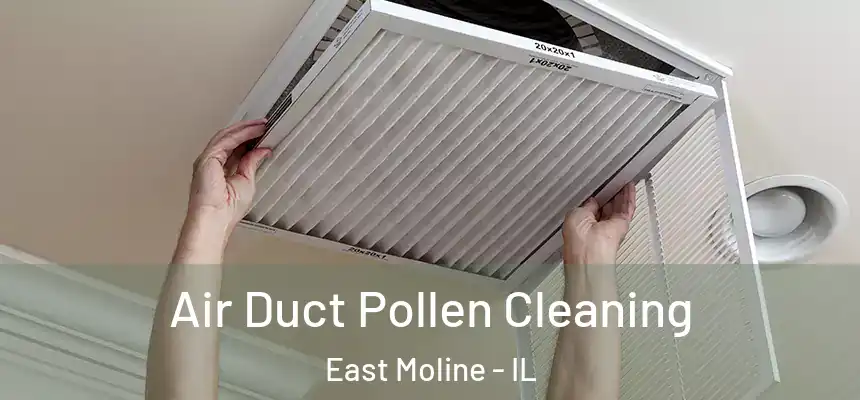  Air Duct Pollen Cleaning East Moline - IL
