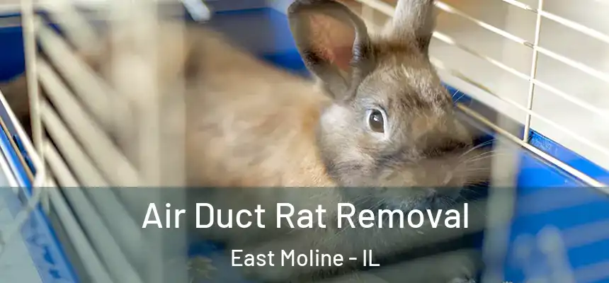  Air Duct Rat Removal East Moline - IL