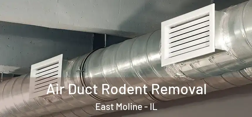  Air Duct Rodent Removal East Moline - IL
