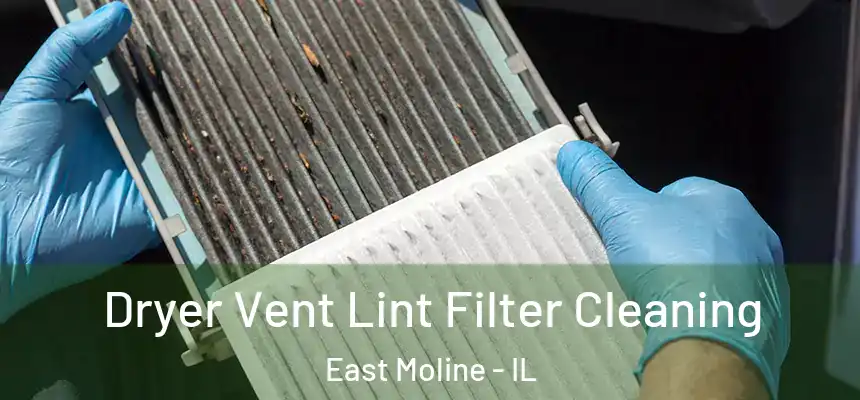 Dryer Vent Lint Filter Cleaning East Moline - IL
