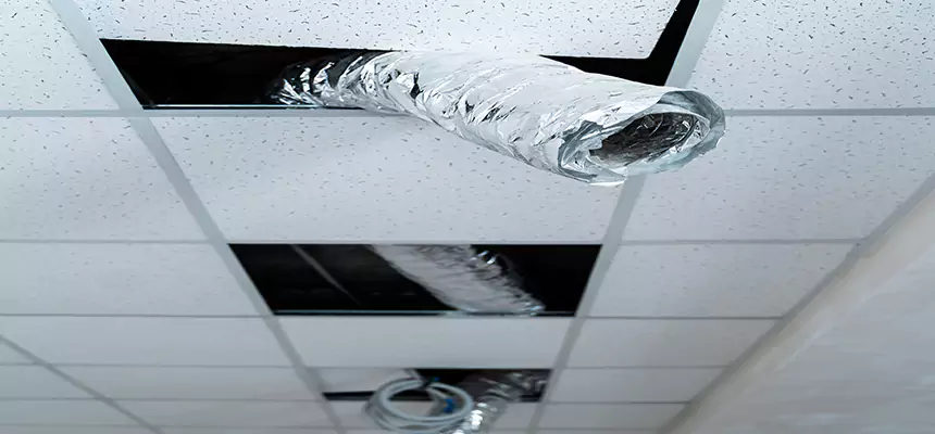 Affordable HVAC Sanitizing After Pest Removal in East Moline