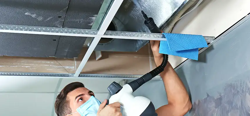 Our Air Duct Rodent Removal Services in East Moline, IL