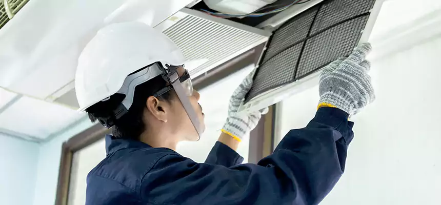 Our Mold & Mildew Removal from Air Ducts Services in East Moline, IL