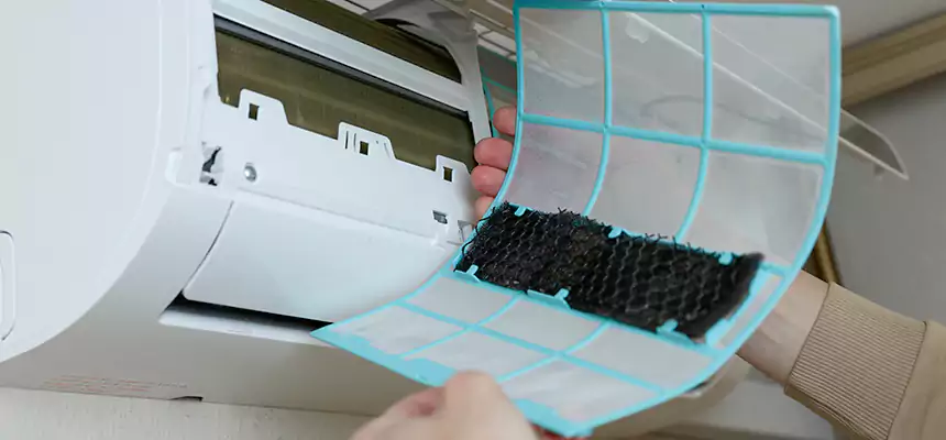 Gentle Ductwork Odor-Control Pet Dander Duct Cleaning in East Moline, IL