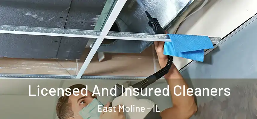  Licensed And Insured Cleaners East Moline - IL