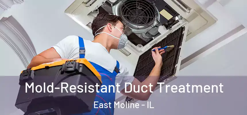 Mold-Resistant Duct Treatment East Moline - IL