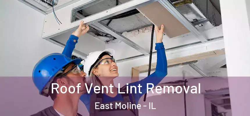  Roof Vent Lint Removal East Moline - IL