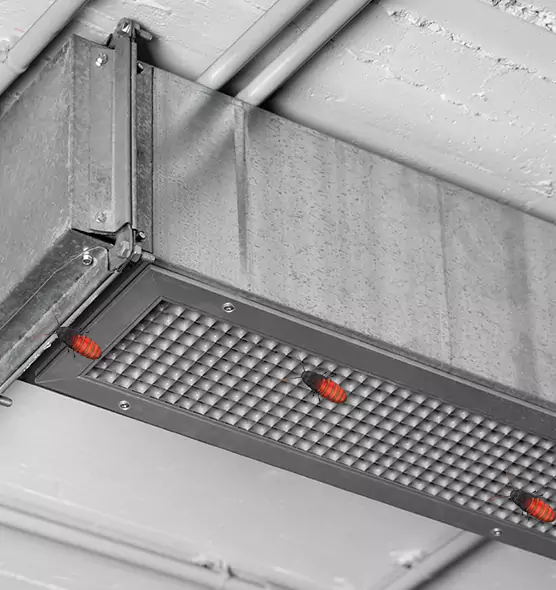 About Air Duct Cockroach Removal in East Moline, IL