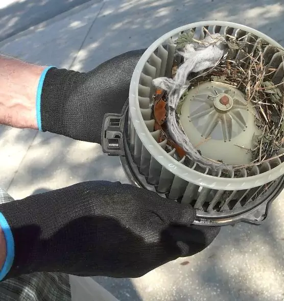 About Air Duct Rat Removal in East Moline, IL