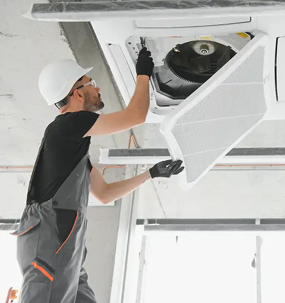 About Air Duct Rodent Removal in East Moline, IL