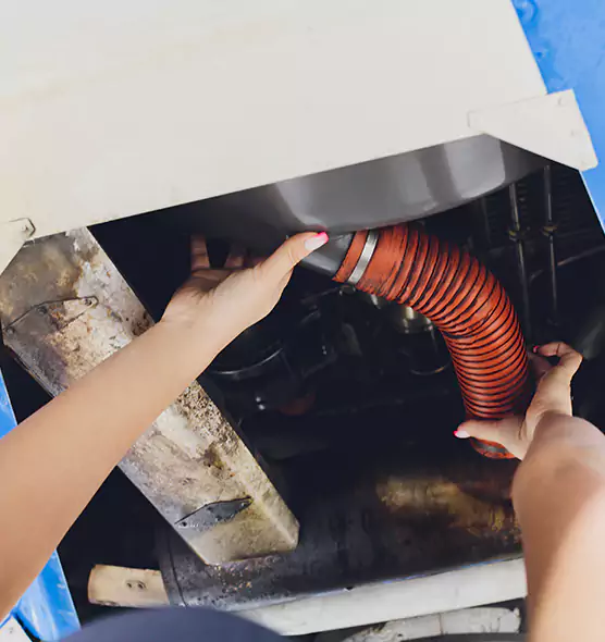 About Air Duct Virus Disinfection in East Moline, IL