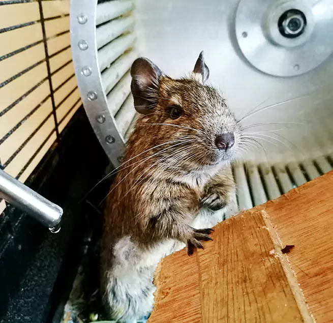 Why Homeowners & Businesses Trust Us East Moline, IL