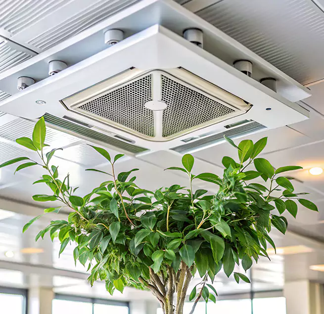 Why Homeowners & Businesses Trust Us in East Moline, IL?