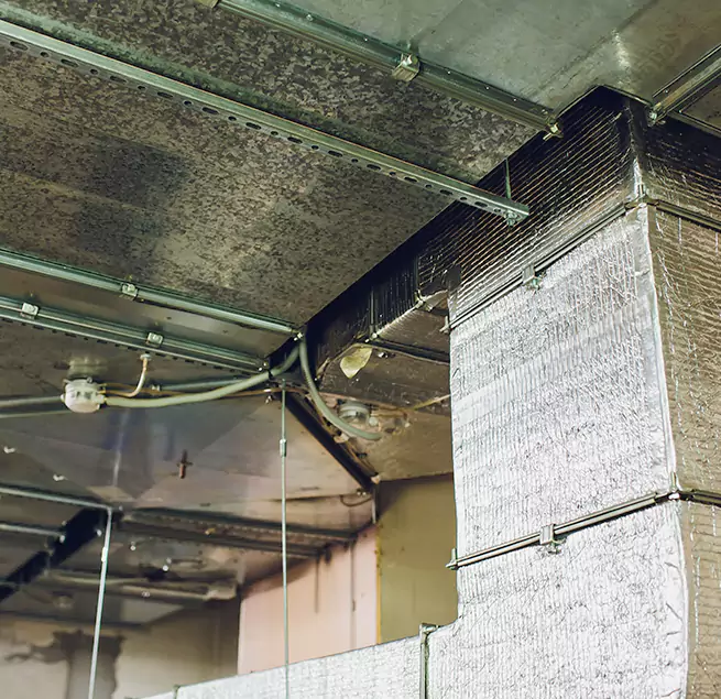 Why Homeowners & Businesses Trust Us in East Moline, IL?